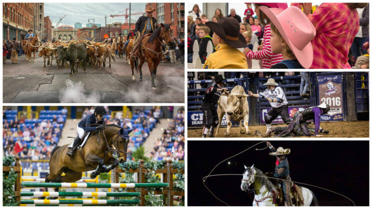 National Western Stock Show | The Denver Ear