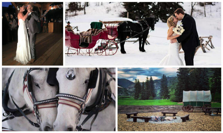 Bearcat Stables Wedding | The Denver Ear