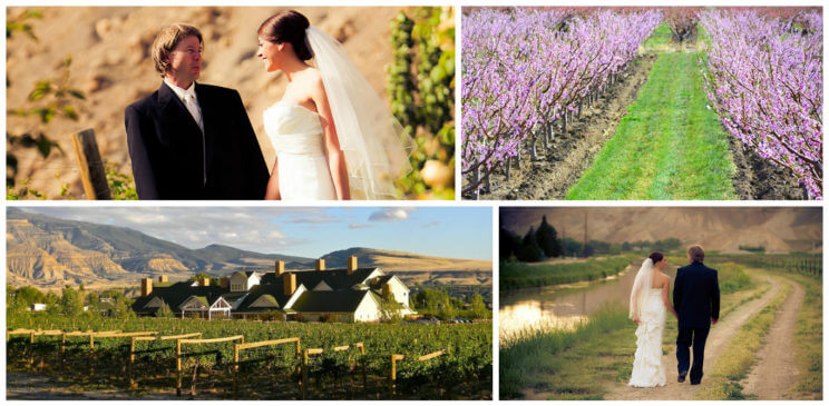 Wine Country Inn Weddings | The Denver Ear