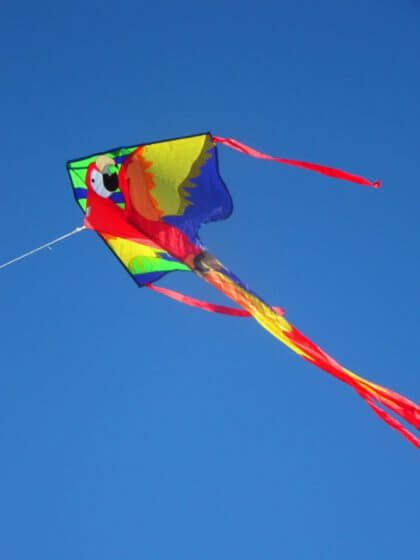 Kite Festival | Barr Lake State Park | The Denver Ear