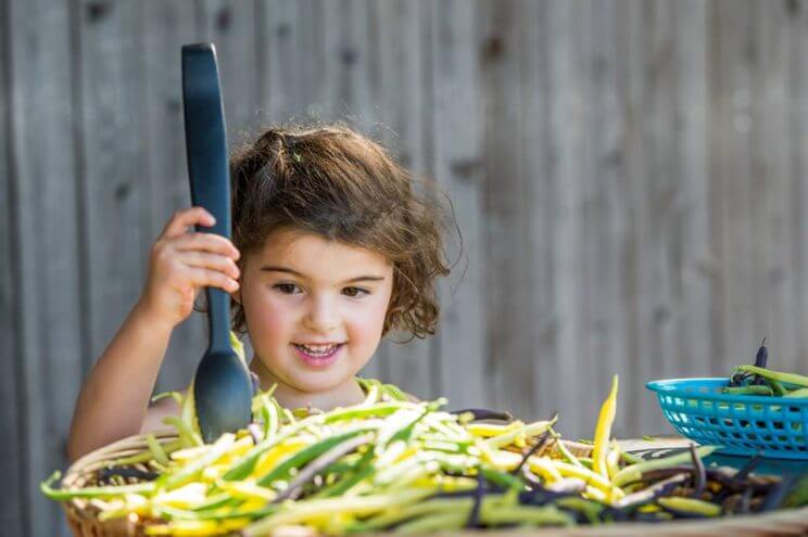 Denver Botanic Gardens | The Denver Ear