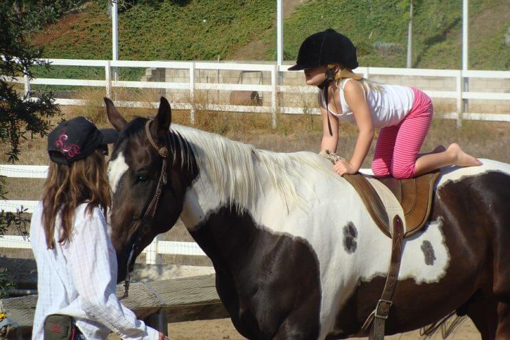 Rocky Mountain Horse Expo 2017 | The Denver Ear