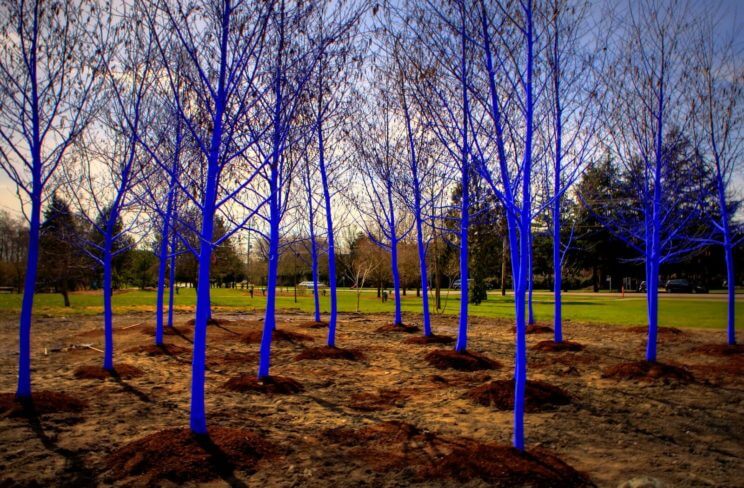 Denver Theatre District Will Feature Blue Trees This April | The Denver Ear