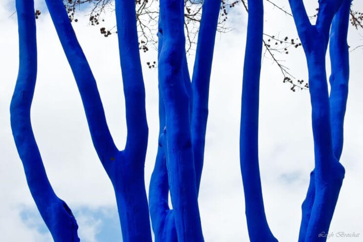 Denver Theatre District Will Feature Blue Trees This April | The Denver Ear