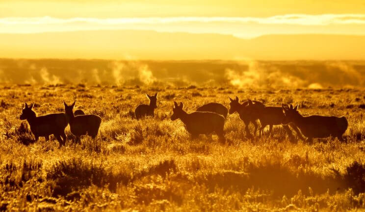 National Wildlife Refuges | The Denver Ear