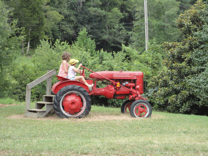 Berry Patch Farms | The Denver Ear