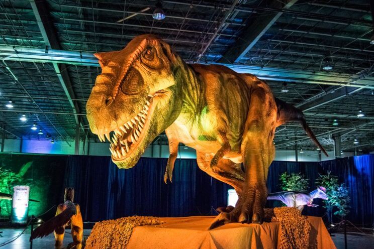 DISCOVER THE DINOSAURS UNLEASHED! | The Denver Ear