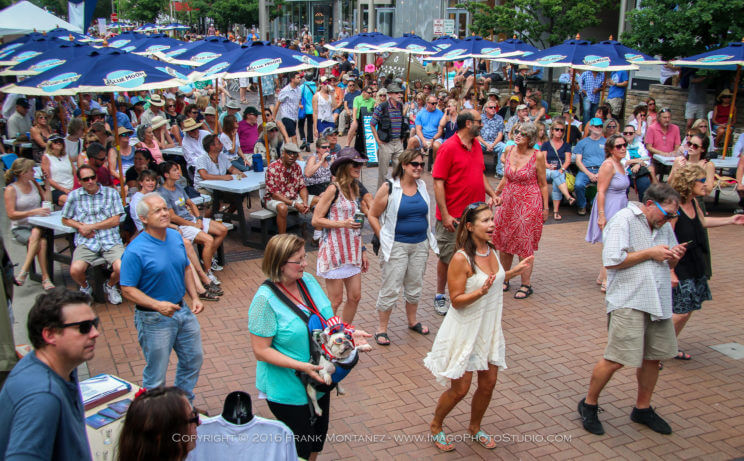 Cherry Creek Arts Festival | The Denver Ear