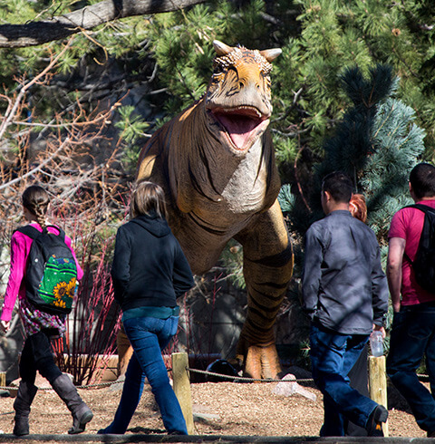 Denver Zoo | The Denver Ear