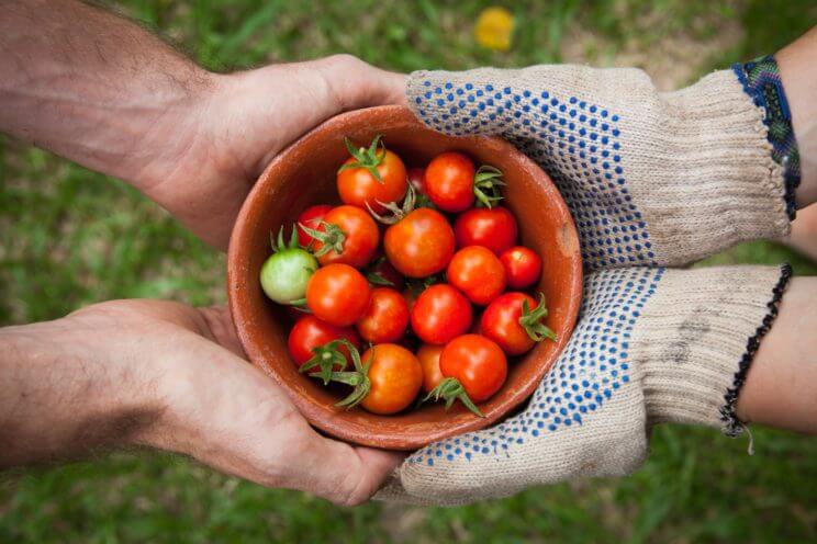 Slow Foods Nation | The Denver Ear