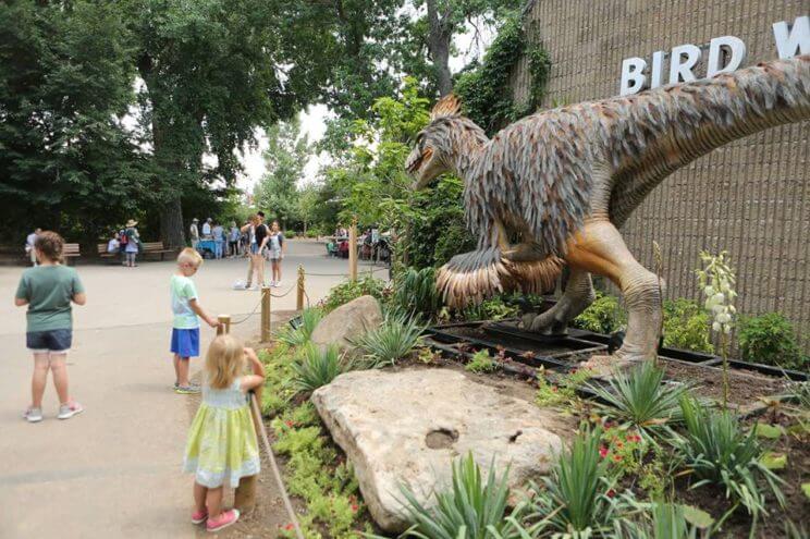 Denver Zoo | The Denver Ear