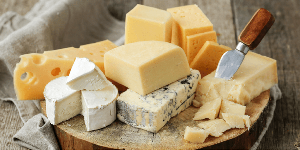 Denver's Festival of Cheese & Cheese Sale | The Denver Ear