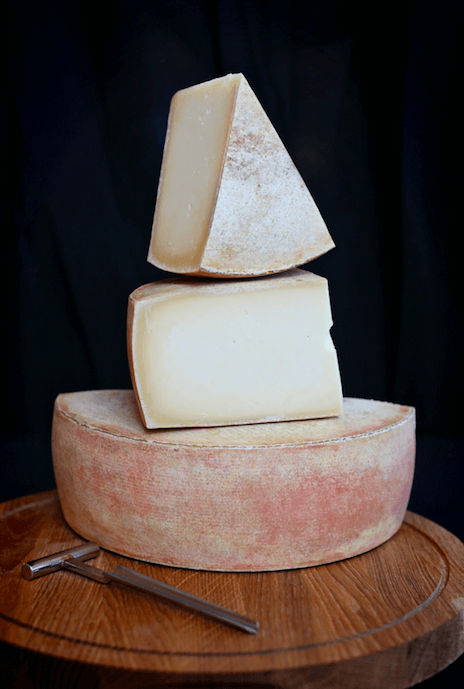 Denver's Festival of Cheese & Cheese Sale | The Denver Ear