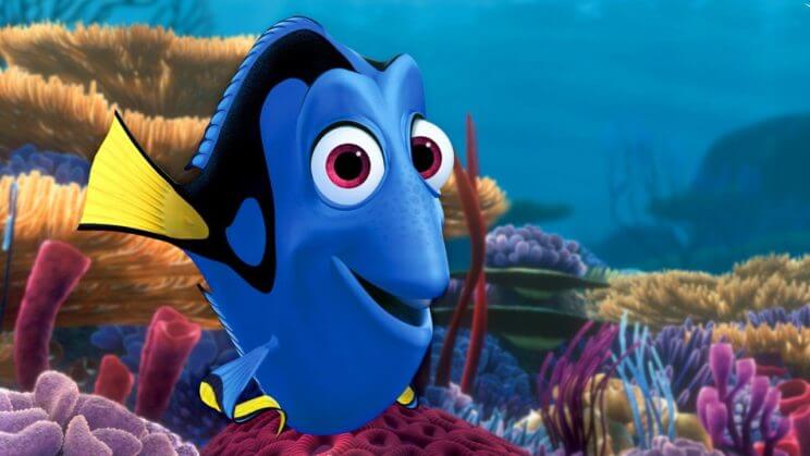 Finding Dory | The Denver Ear