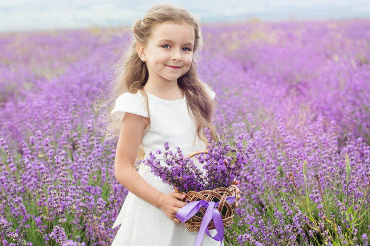 Lavender Festival | The Denver Ear