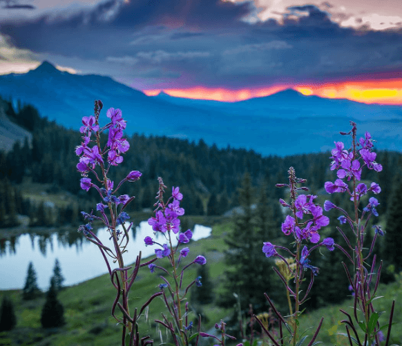 ryanbonneauphoto | The Denver Ear