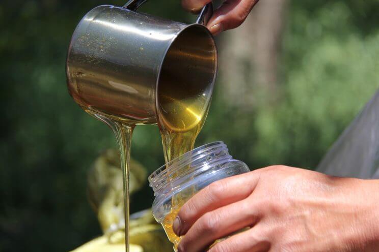 Colorado Honey Festival | The Denver Ear