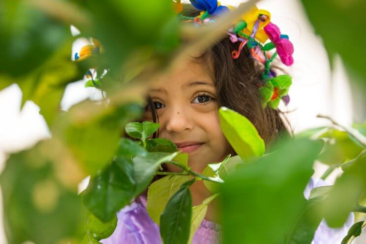 Denver Botanic Gardens | The Denver Ear