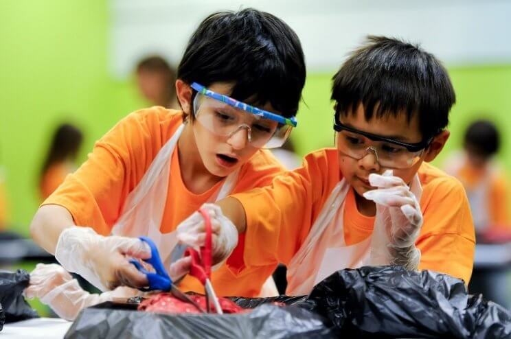 Denver Museum of Nature & Science | The Denver Ear