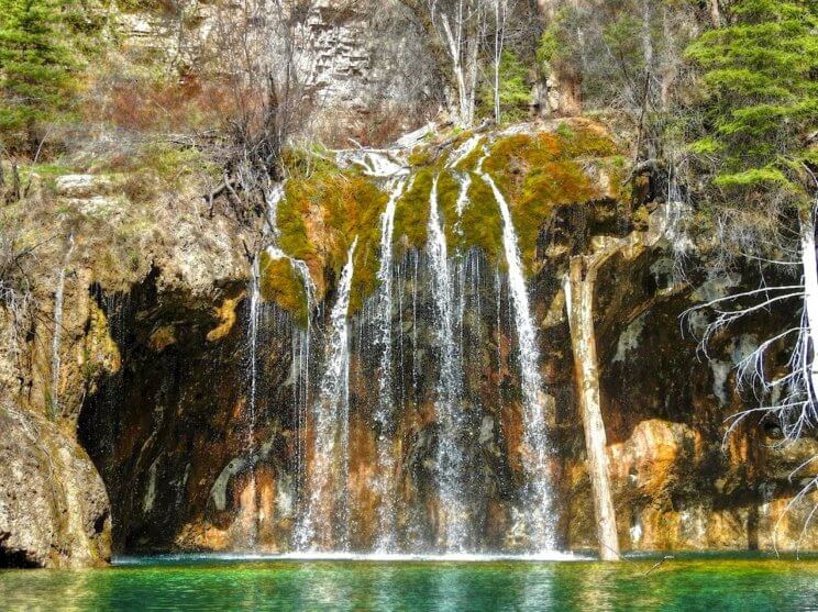 Wildflowers and Waterfalls: Amazing Spring Hikes in Colorado | The Denver Ear