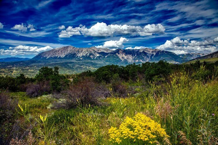 Wildflowers and Waterfalls: Amazing Spring Hikes in Colorado | The Denver Ear