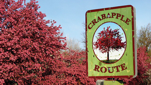 Littleton Crabapple Route | The Denver Ear