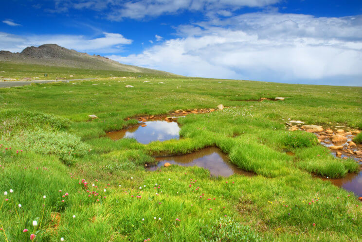 Mount Evans | The Denver Ear