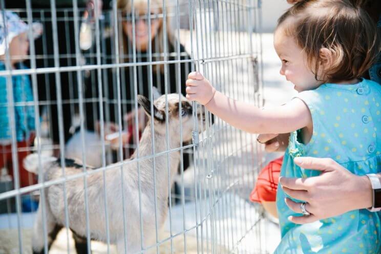 Jefferson Park Farm & Flea | The Denver Ear