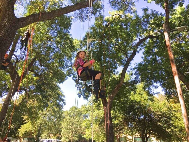 Colorado Tree Climbing | The Denver Ear