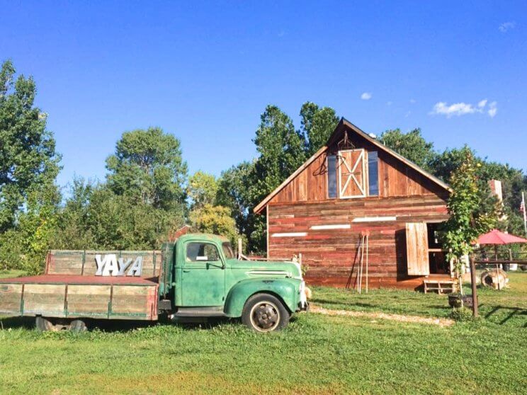 Yaya Farm and Orchard | The Denver Ear