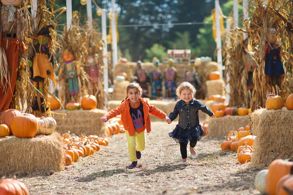 Colorado Fall, Pumpkin and Harvest Festivals 2018 | The Denver Ear