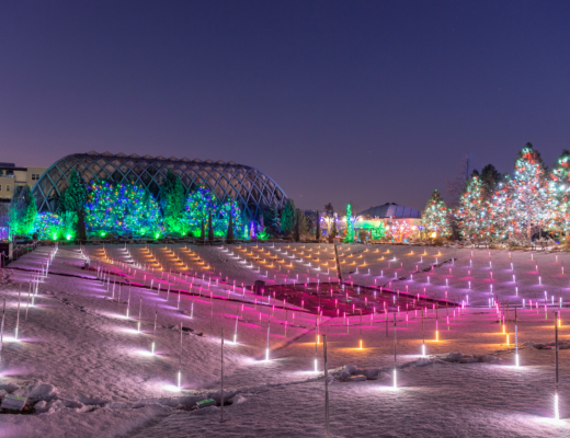 Denver Botanic Gardens - Blossoms of Light