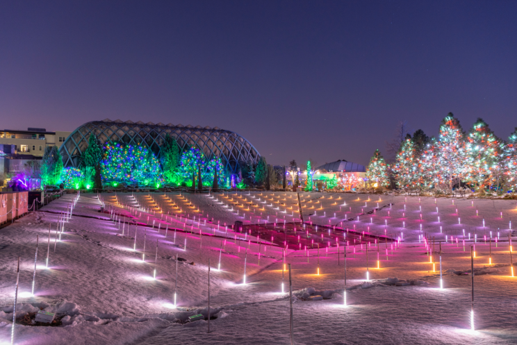 Denver Botanic Gardens - Blossoms of Light