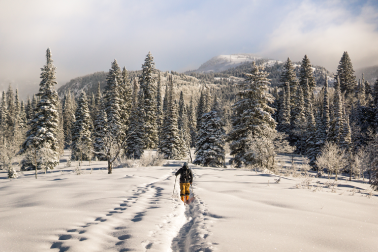 Steamboat Springs, CO