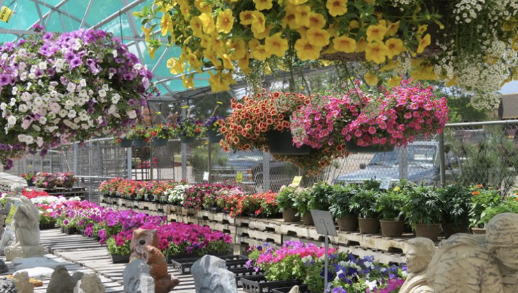 The Best Garden Centers Greenhouses And Nurseries In The Denver Area