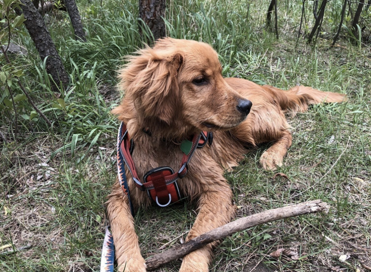 Bear Creek Trail