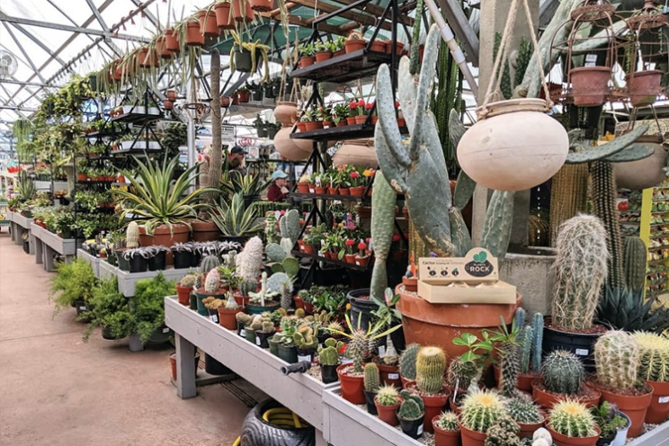 Nick’s Garden Center & Farm Market | Denver Garden Centers