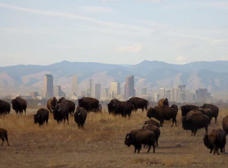 Rocky Mountain Arsenal