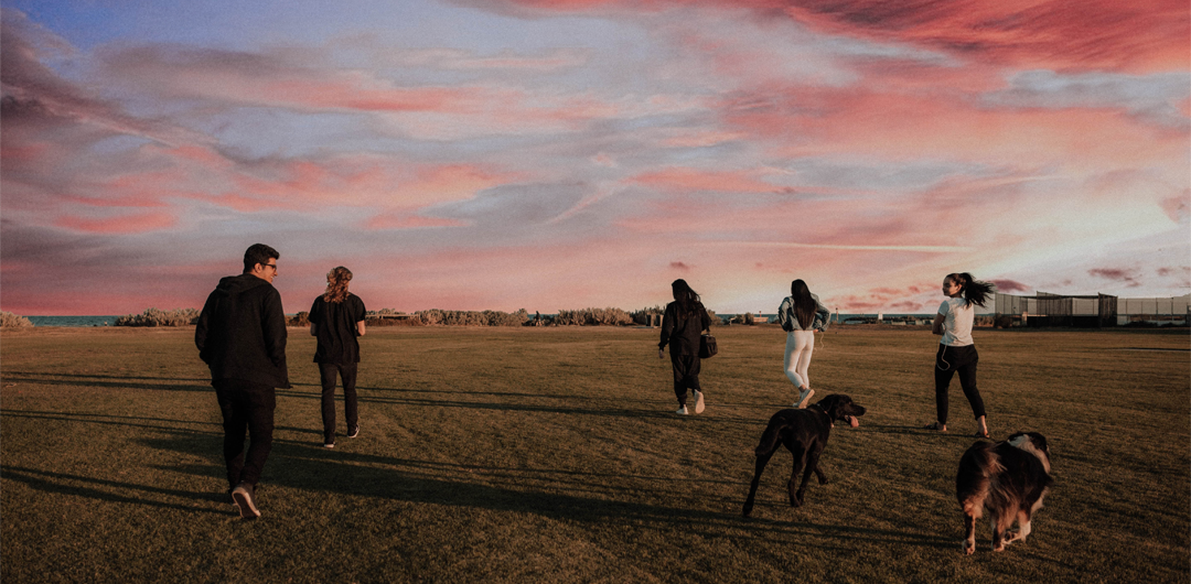 Denver Metro dog parks