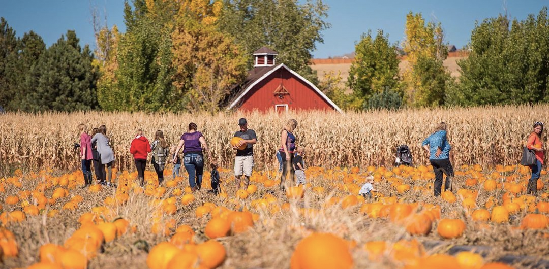 Fall In Denver 2024 - Ira Miquela