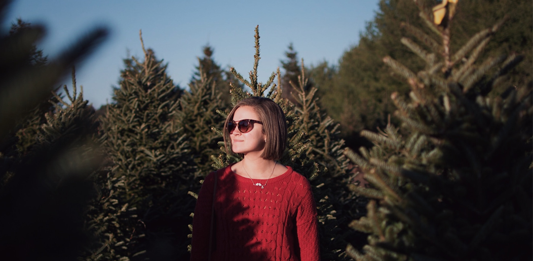 Christmas Tree Farms Denver