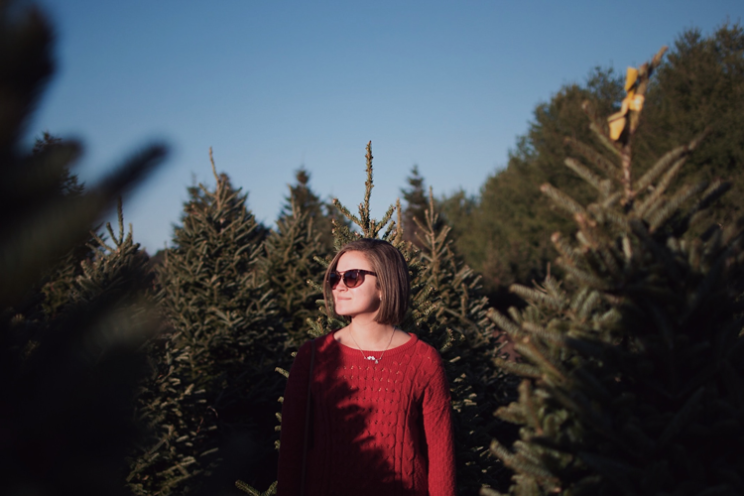 Christmas Tree Farms Denver