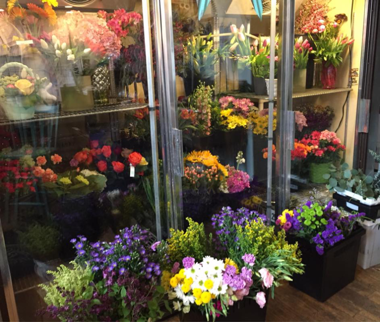 Denver Florists