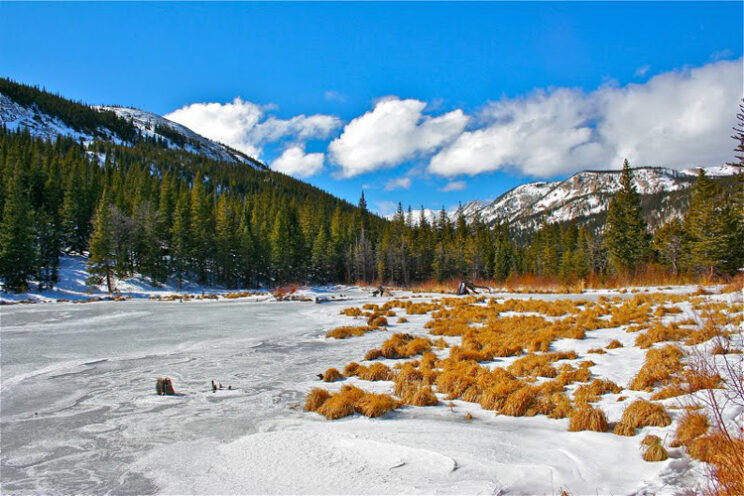 Denver Snowshoeing