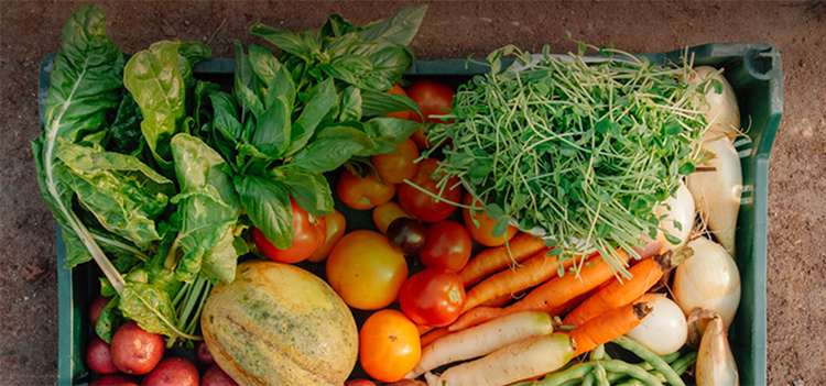 Boulder County Farmers’ Markets