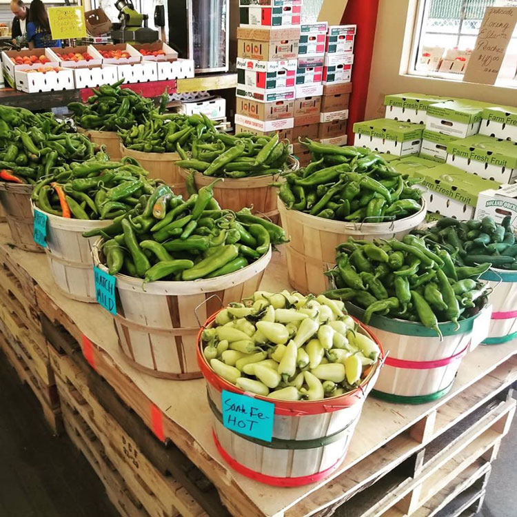 several barrels full of green peppers