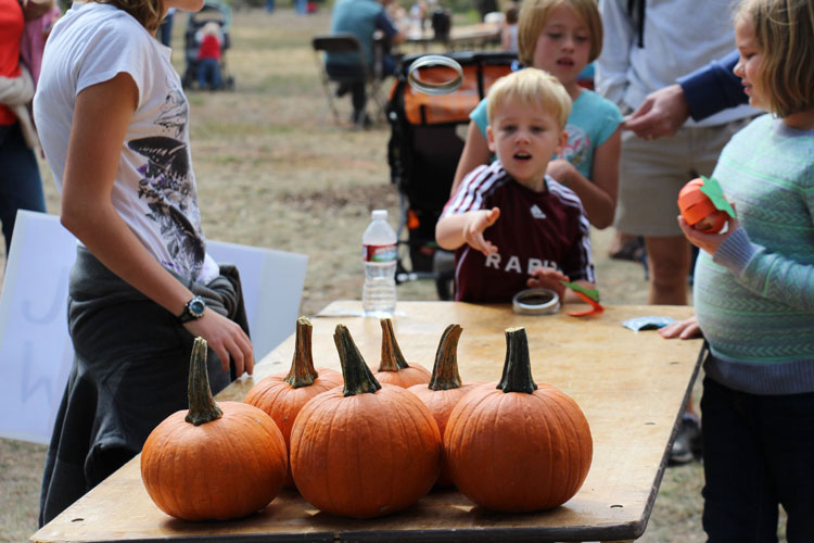 Denver fall events