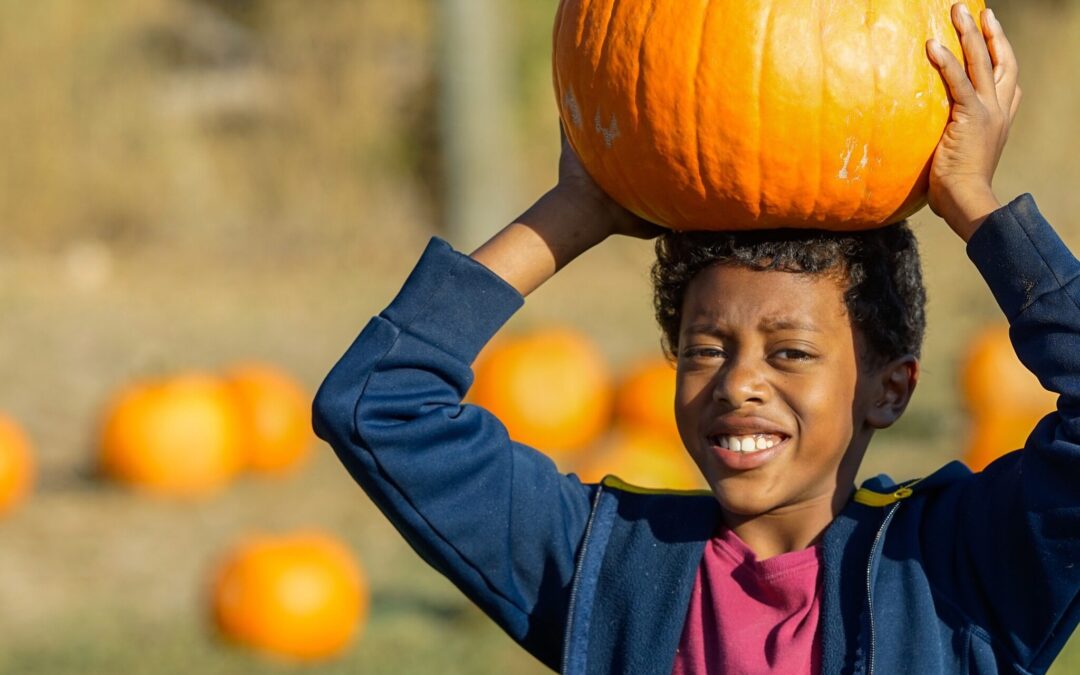 Psst... 15 Things to do in Colorado Fall 2023 | The Denver Ear