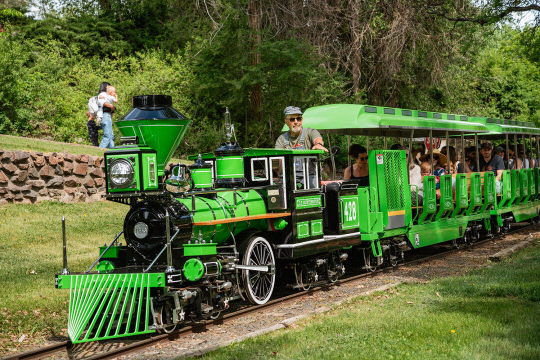 Belleview Train