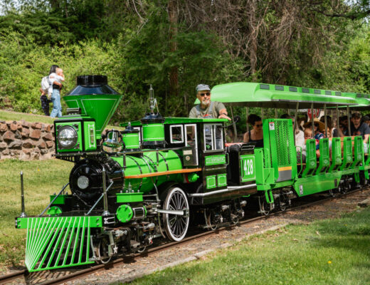 Belleview Train